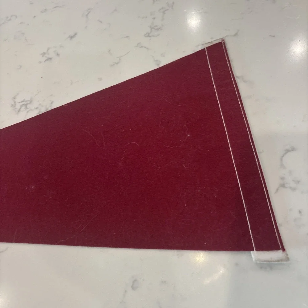 Vintage Springfield College Felt Pennant Banner 9x24 Spirit Mind Body NCAA Dorm